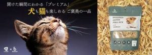 Korean Brand Bremen Brings Shared Roasted Hwangtae Snack for Pets and Owners to Makuake