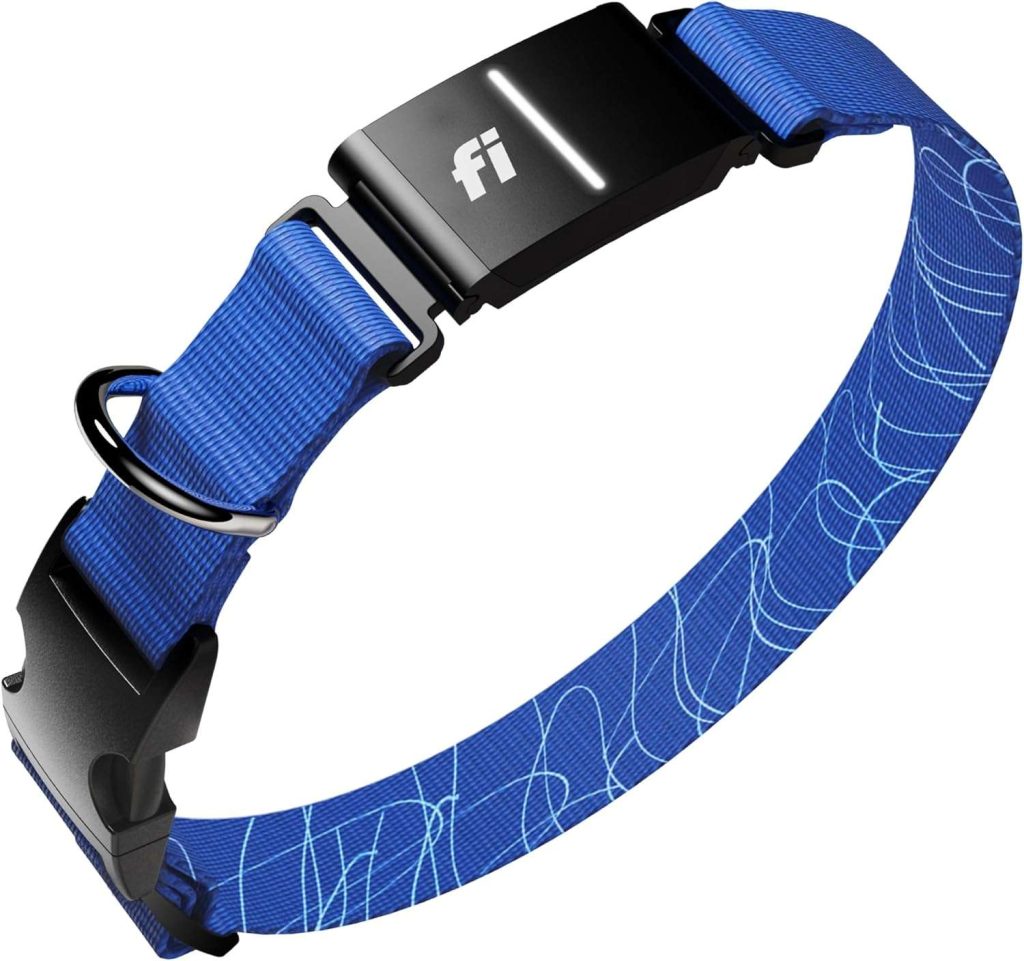 Fi Series 3+ smart dog tracker collar