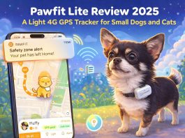 Pawfit Lite Review 2025. A Light 4G GPS Tracker for Small Dogs and Cats Pawfit Lite review