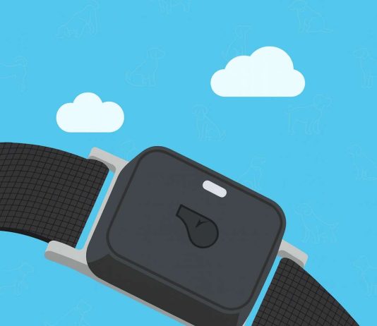 Whistle GO Explore Review (2025 Shutdown Update). Buy It or Skip It? Whistle GO Explore review