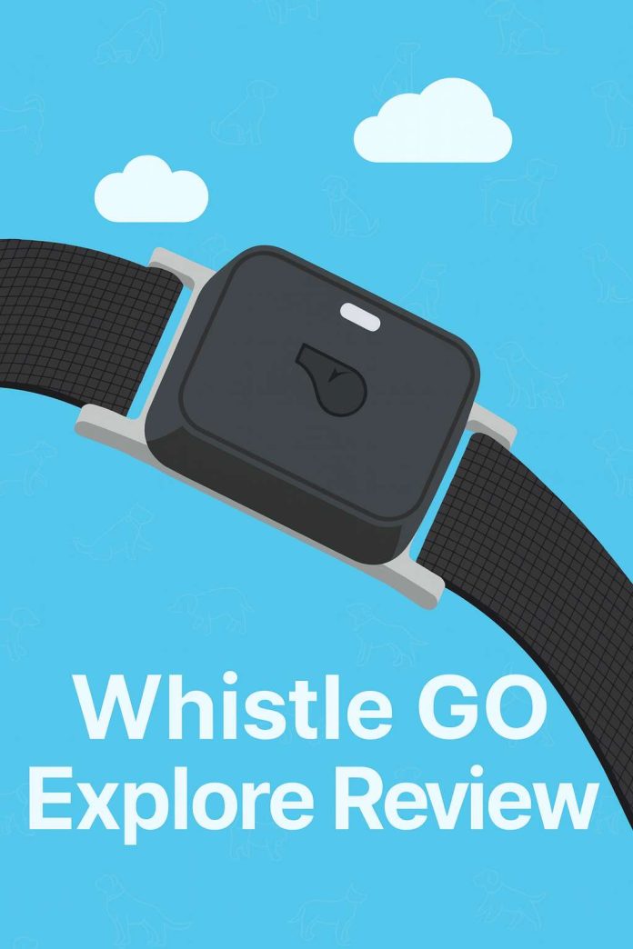 Whistle GO Explore review