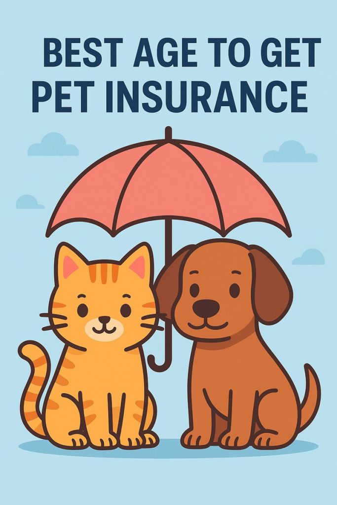 Best Age to Get Pet Insurance for Dogs and Cats. A Simple, Real Life Guide
