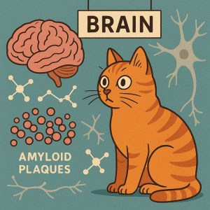 Cat Dementia Study Shows a New Link to Alzheimer’s, and It Starts at the Synapse