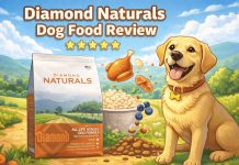 Diamond Naturals Dog Food Review (2026): Ingredients, Nutrition Table, Pros and Cons Diamond Naturals Dog Food Review