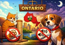 Ontario Weighs Ban on Cat Declawing and Dog Debarking. What the Draft Rules Could Change Ontario ban declawing cats and debarking dogs